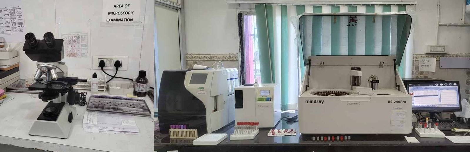 Microscopy and Mindray BS-240Pro biochemistry analyzer